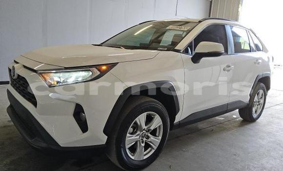 Buy Used Toyota RAV4 White Car in Amitié–Gokhoola in Rivière du Rempart District Buy Used Toyota RAV4 White Car in Amitié–Gokhoola in Rivière du Rempart District