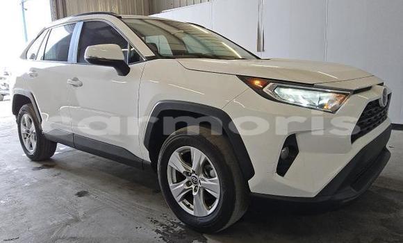 Buy Used Toyota RAV4 White Car in Amitié–Gokhoola in Rivière du Rempart District Buy Used Toyota RAV4 White Car in Amitié–Gokhoola in Rivière du Rempart District