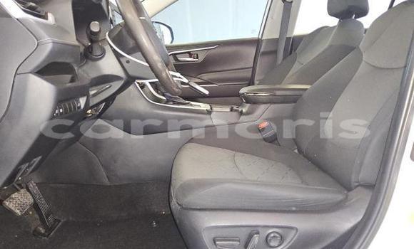 Buy Used Toyota RAV4 White Car in Amitié–Gokhoola in Rivière du Rempart District Buy Used Toyota RAV4 White Car in Amitié–Gokhoola in Rivière du Rempart District