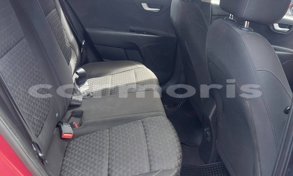 Buy Used Kia Rio Red Car in Arsenal in Pamplemousses District Buy Used Kia Rio Red Car in Arsenal in Pamplemousses District