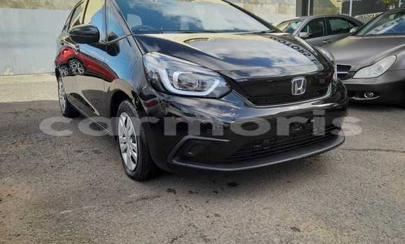 Buy Used Honda fit Black Car in Amitié–Gokhoola in Rivière du Rempart District Buy Used Honda fit Black Car in Amitié–Gokhoola in Rivière du Rempart District