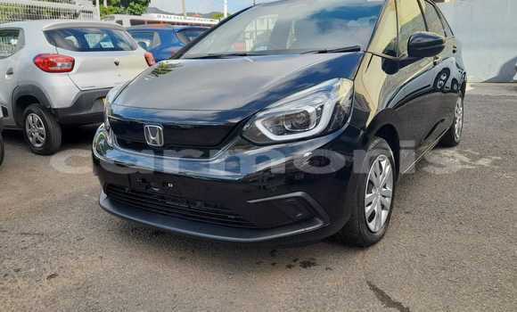 Buy Used Honda fit Black Car in Amitié–Gokhoola in Rivière du Rempart District Buy Used Honda fit Black Car in Amitié–Gokhoola in Rivière du Rempart District