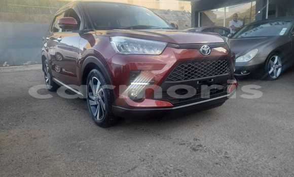 Buy Used Toyota Ractis Red Car in Anse La Raie in Rivière du Rempart District Buy Used Toyota Ractis Red Car in Anse La Raie in Rivière du Rempart District