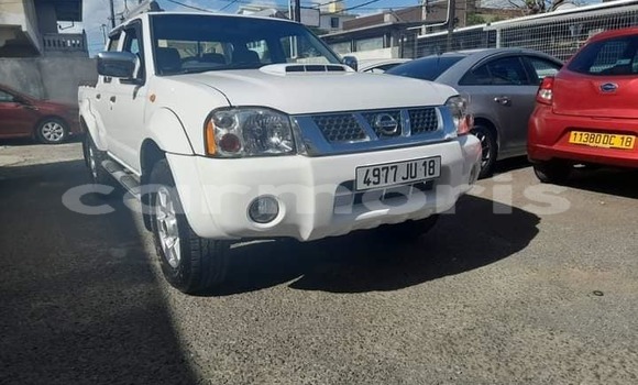 Buy Used Nissan NP 300 White Car in Amaury in Rivière du Rempart District Buy Used Nissan NP 300 White Car in Amaury in Rivière du Rempart District
