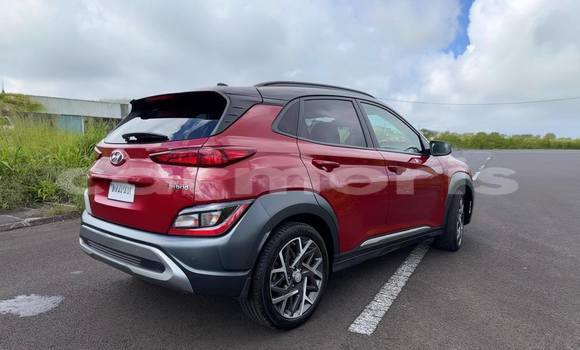 Buy Used Hyundai Kona Red Car in Baie du Tombeau in Pamplemousses District Buy Used Hyundai Kona Red Car in Baie du Tombeau in Pamplemousses District