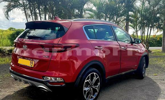 Buy Used Kia Sportage Red Car in Baie du Cap in Savanne District Buy Used Kia Sportage Red Car in Baie du Cap in Savanne District