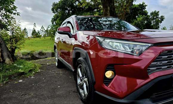 Buy Used Toyota RAV4 Red Car in Arsenal in Pamplemousses District