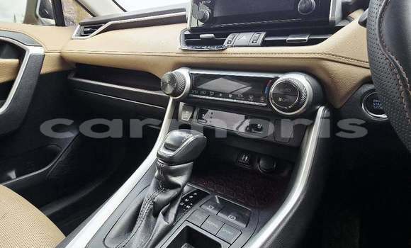 Buy Used Toyota RAV4 Red Car in Arsenal in Pamplemousses District Buy Used Toyota RAV4 Red Car in Arsenal in Pamplemousses District