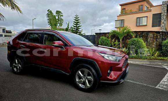 Buy Used Toyota RAV4 Red Car in Arsenal in Pamplemousses District Buy Used Toyota RAV4 Red Car in Arsenal in Pamplemousses District