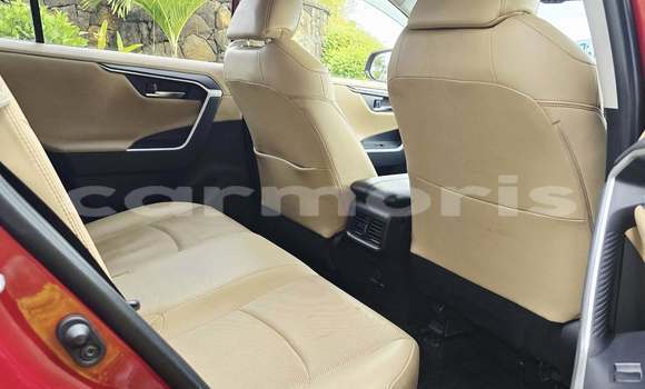 Buy Used Toyota RAV4 Red Car in Arsenal in Pamplemousses District Buy Used Toyota RAV4 Red Car in Arsenal in Pamplemousses District