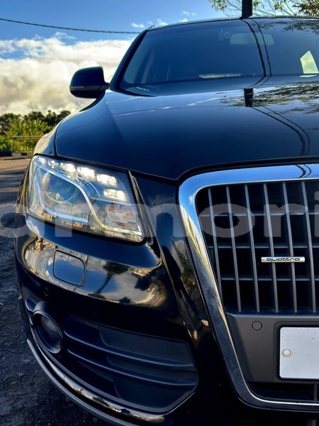 Big with watermark audi q5 flacq camp de masque pave 7904