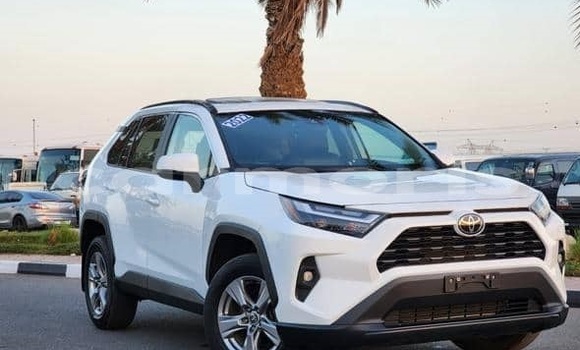 Buy Used Toyota RAV4 White Car in Anse La Raie in Rivière du Rempart District
