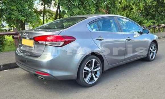 Acheter Occasion Voiture Kia Cerato Autre à Amaury, Rivière du Rempart Acheter Occasion Voiture Kia Cerato Autre à Amaury, Rivière du Rempart