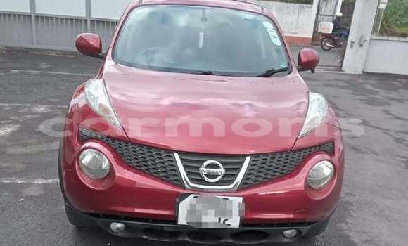 Buy Used Nissan Juke Other Car in Anse La Raie in Rivière du Rempart District Buy Used Nissan Juke Other Car in Anse La Raie in Rivière du Rempart District