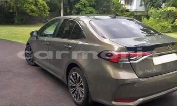 Buy Used Toyota Corolla Other Car in Baie du Cap in Savanne District