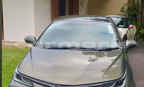 Buy Used Toyota Corolla Other Car in Baie du Cap in Savanne District Buy Used Toyota Corolla Other Car in Baie du Cap in Savanne District