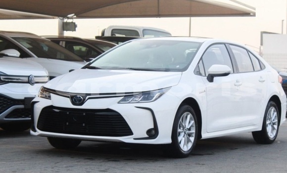 Buy Used Toyota Corolla White Car in Chamouny in Savanne