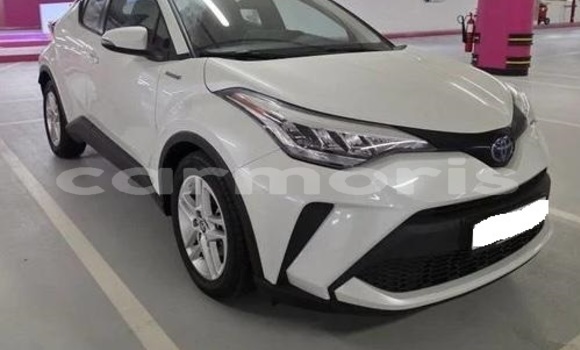 Buy Used Toyota C-HR White Car in Morcellement Saint Andre in Pamplempousses