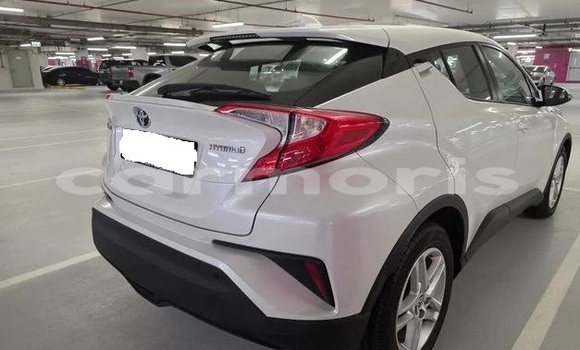 Buy Used Toyota C-HR White Car in Morcellement Saint Andre in Pamplempousses Buy Used Toyota C-HR White Car in Morcellement Saint Andre in Pamplempousses
