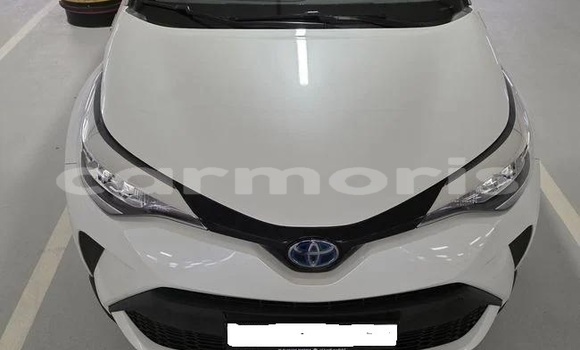 Buy Used Toyota C-HR White Car in Morcellement Saint Andre in Pamplempousses Buy Used Toyota C-HR White Car in Morcellement Saint Andre in Pamplempousses