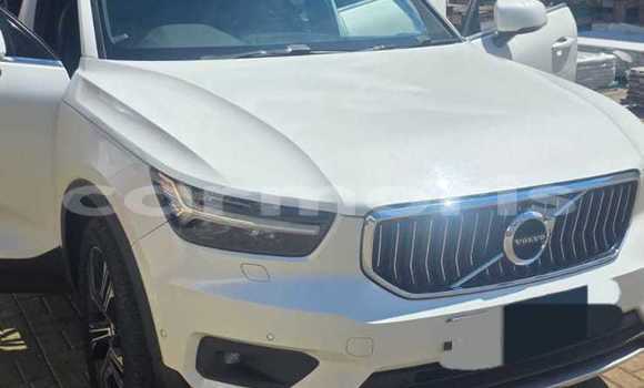 Buy Used Volvo XC40 White Car in Bambous in Black River District