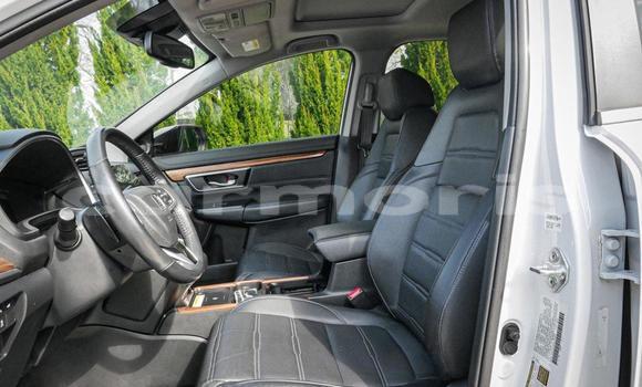 Buy Used Honda CR–V White Car in Morcellement Saint Andre in Pamplempousses Buy Used Honda CR–V White Car in Morcellement Saint Andre in Pamplempousses