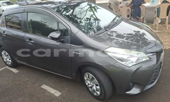 Buy Used Toyota Vitz Black Car in Beau Bassin–Rose Hill in Plaines Wilhems District