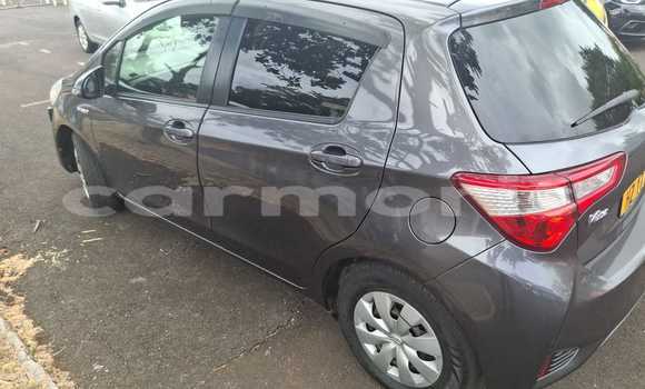 Buy Used Toyota Vitz Black Car in Beau Bassin–Rose Hill in Plaines Wilhems District Buy Used Toyota Vitz Black Car in Beau Bassin–Rose Hill in Plaines Wilhems District