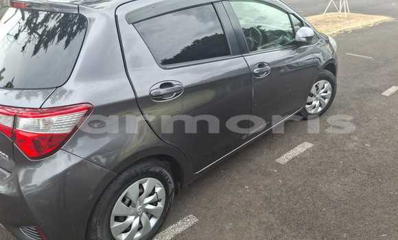 Buy Used Toyota Vitz Black Car in Beau Bassin–Rose Hill in Plaines Wilhems District Buy Used Toyota Vitz Black Car in Beau Bassin–Rose Hill in Plaines Wilhems District