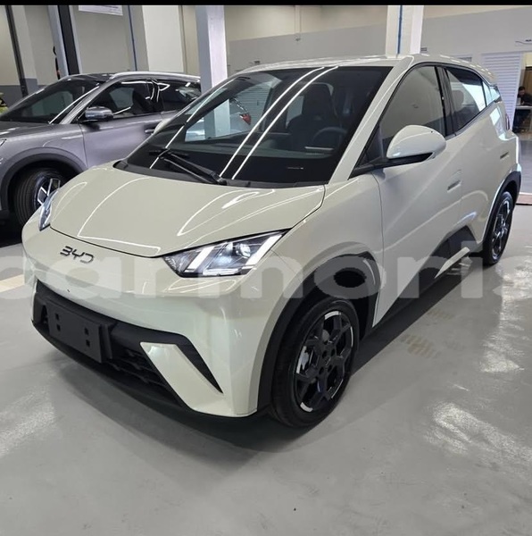 Big with watermark byd seagull flacq bel air 7963