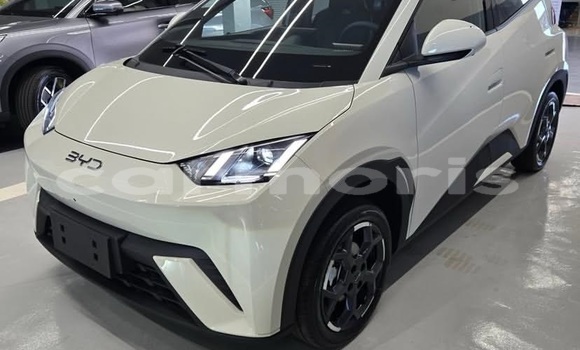 Buy Used BYD Seagull White Car in Bel Air in Flacq