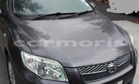 Buy Used Toyota Axio Black Car in Port Louis in Port Louis District Buy Used Toyota Axio Black Car in Port Louis in Port Louis District