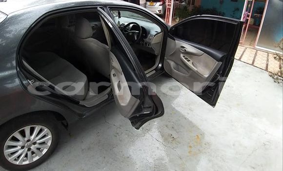 Buy Used Toyota Axio Black Car in Port Louis in Port Louis District Buy Used Toyota Axio Black Car in Port Louis in Port Louis District