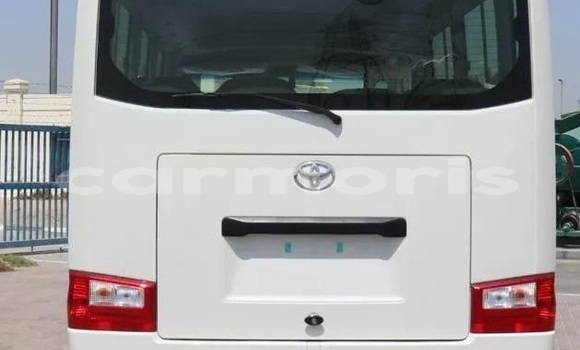 Buy Used Toyota Coaster White Car in Bel Air in Flacq Buy Used Toyota Coaster White Car in Bel Air in Flacq