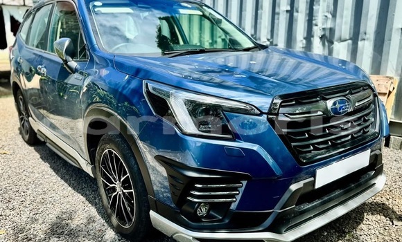 Buy Used Subaru Forester Blue Car in Beau Bassin–Rose Hill in Plaines Wilhems District