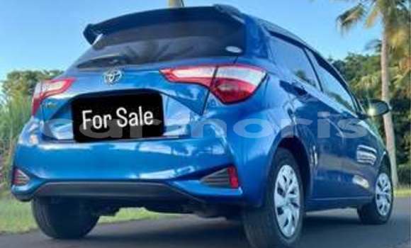 Buy Used Toyota Vitz Other Car in Port Louis in Port Louis District