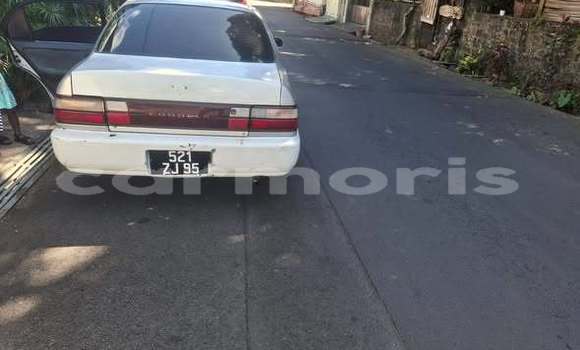Buy Used Toyota Altezza Other Car in Port Louis in Port Louis District Buy Used Toyota Altezza Other Car in Port Louis in Port Louis District