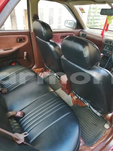 Big with watermark 57232130 109941776872486 2872343650753314816 n