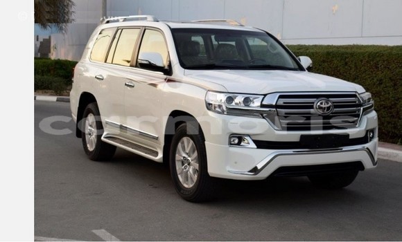 Buy Used Toyota Land Cruiser White Car in Bel Ombre in Savanne