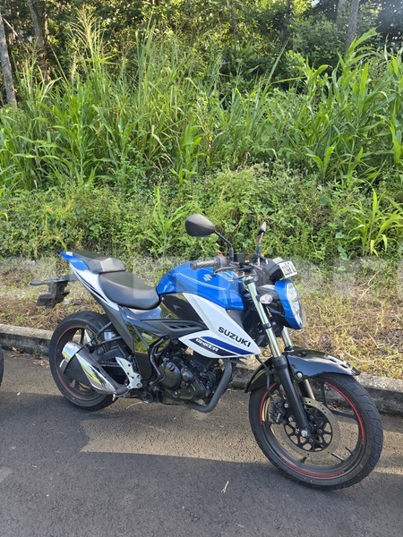 Big with watermark suzuki gsx rodrigues grand baie montagne goyaves 8019