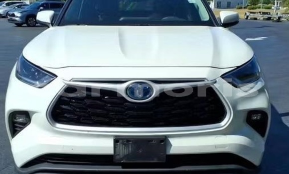 Acheter Occasion Voiture Toyota Land Cruiser Blanc à bel Air, Flacq
