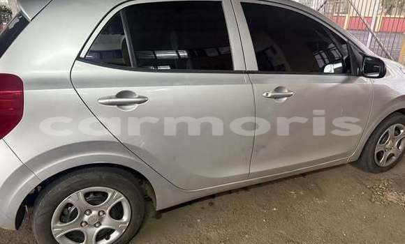 Buy Used Kia Picanto Other Car in Brisee Verdiere in Flacq