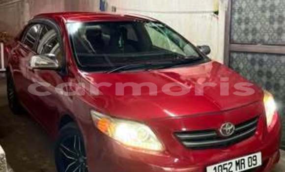 Buy Used Toyota Corolla Other Car in Beau Bassin–Rose Hill in Plaines Wilhems District