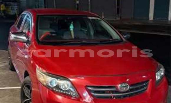 Acheter Occasion Voiture Toyota Corolla Autre à Beau Bassin–Rose Hill, Plaines Wilhems District Acheter Occasion Voiture Toyota Corolla Autre à Beau Bassin–Rose Hill, Plaines Wilhems District
