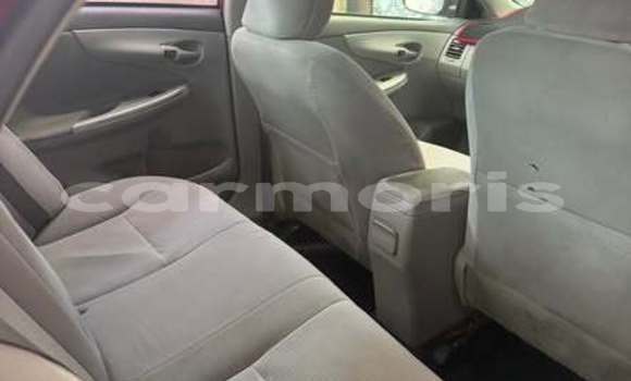 Acheter Occasion Voiture Toyota Corolla Autre à Beau Bassin–Rose Hill, Plaines Wilhems District Acheter Occasion Voiture Toyota Corolla Autre à Beau Bassin–Rose Hill, Plaines Wilhems District