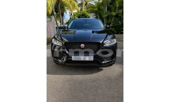 Buy Used Jaguar F-Pace Black Car in Rivière du Rempart in Rivière du Rempart District