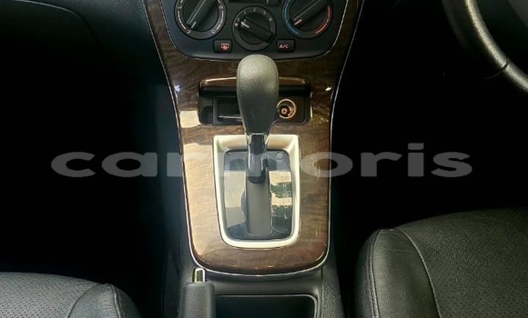 Buy Used Nissan Sentra Other Car in Brisee Verdiere in Flacq