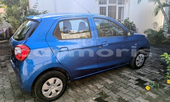 Buy Used Suzuki Alto Blue Car in Mahébourg in Grand Port District Buy Used Suzuki Alto Blue Car in Mahébourg in Grand Port District