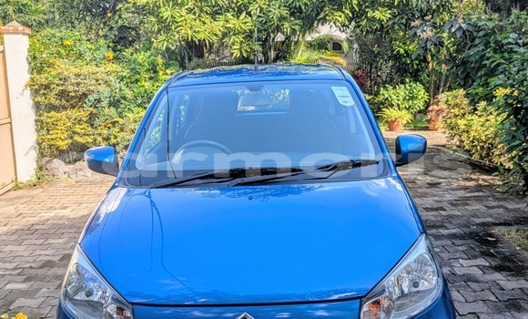 Buy Used Suzuki Alto Blue Car in Mahébourg in Grand Port District Buy Used Suzuki Alto Blue Car in Mahébourg in Grand Port District