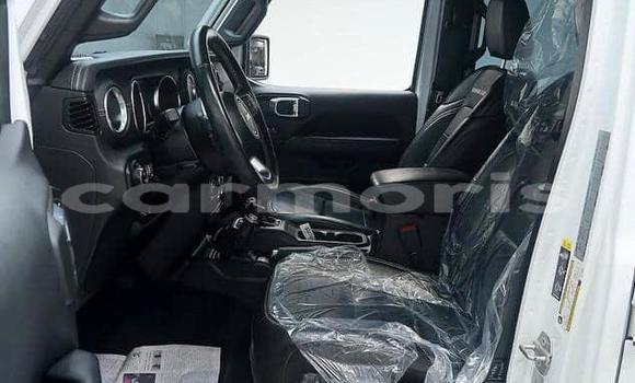 Buy Used Jeep Wrangler White Car in Bel Air in Flacq Buy Used Jeep Wrangler White Car in Bel Air in Flacq
